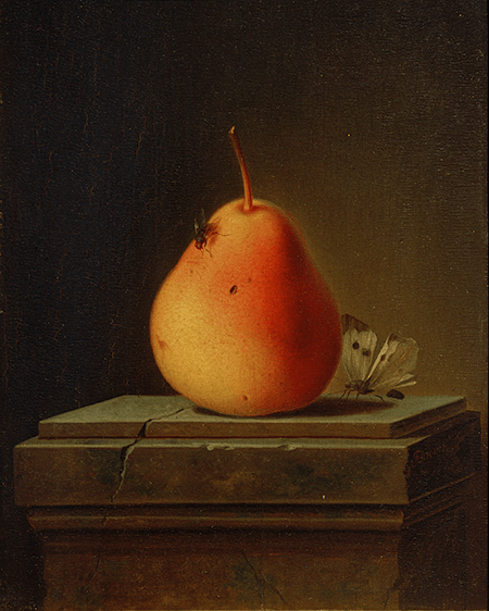Justus Junker,  Birne mit Insekten, 1765,  The Städel Museum, Frankfurt